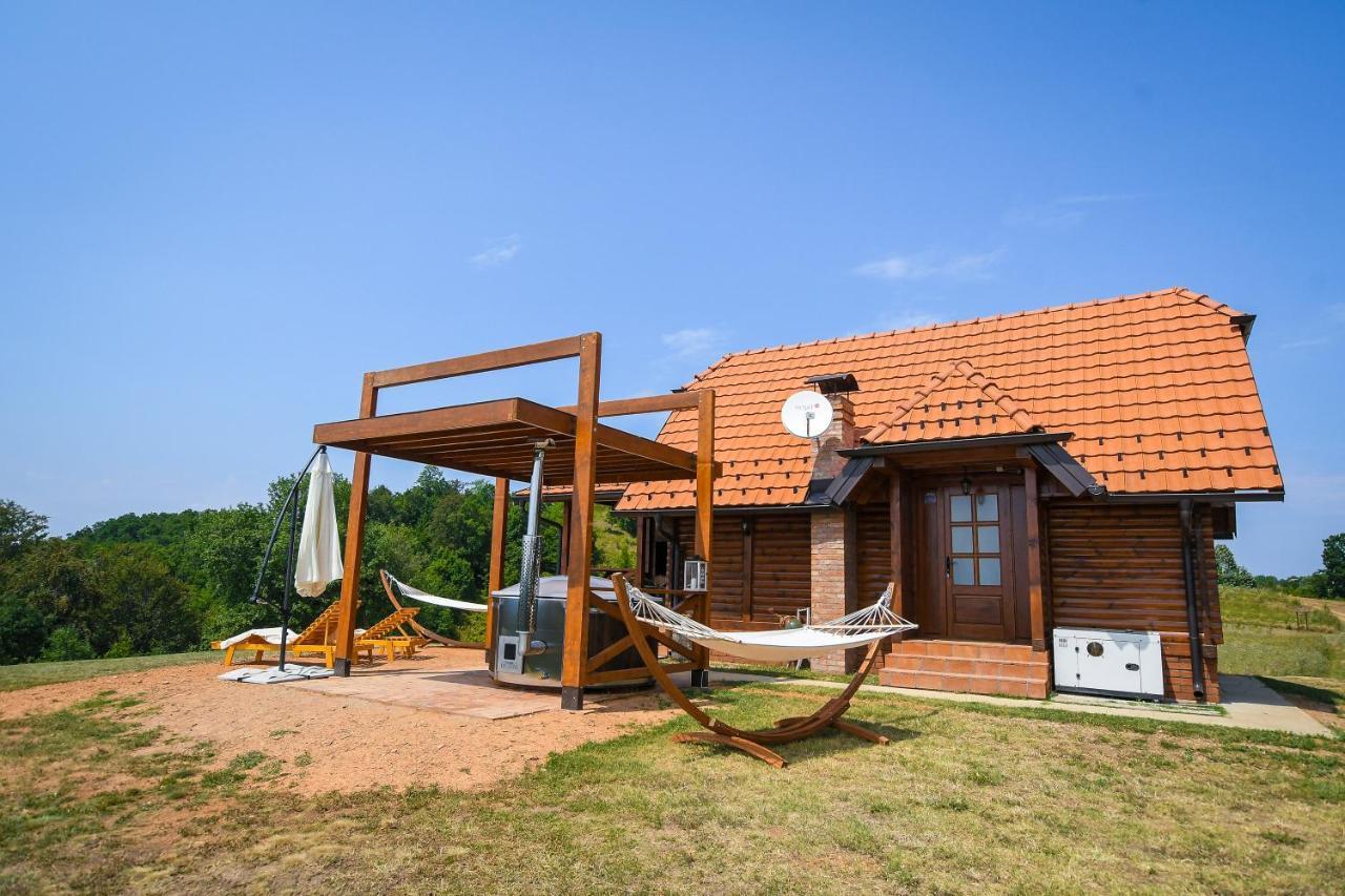 Brvnara Vila Promaja クラドヴォ エクステリア 写真
