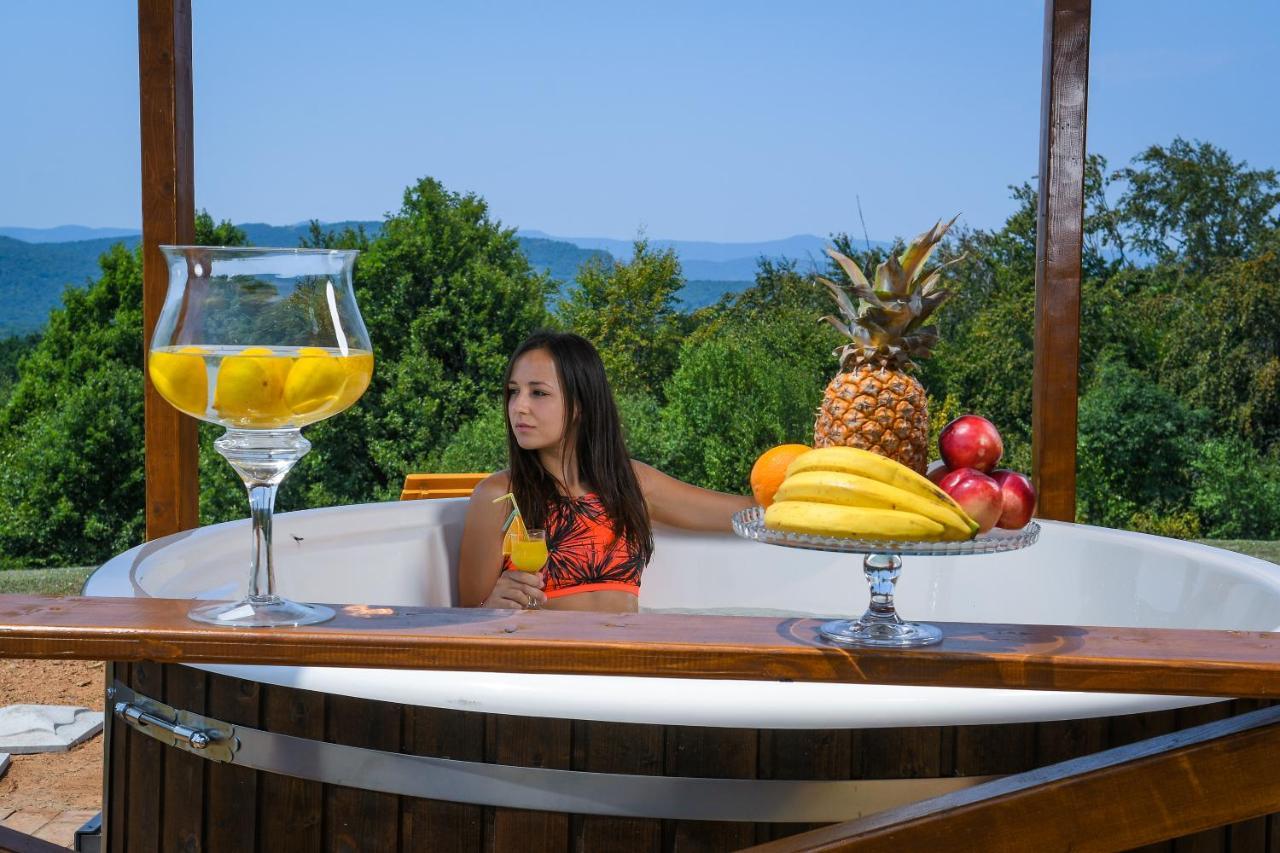 Brvnara Vila Promaja クラドヴォ エクステリア 写真