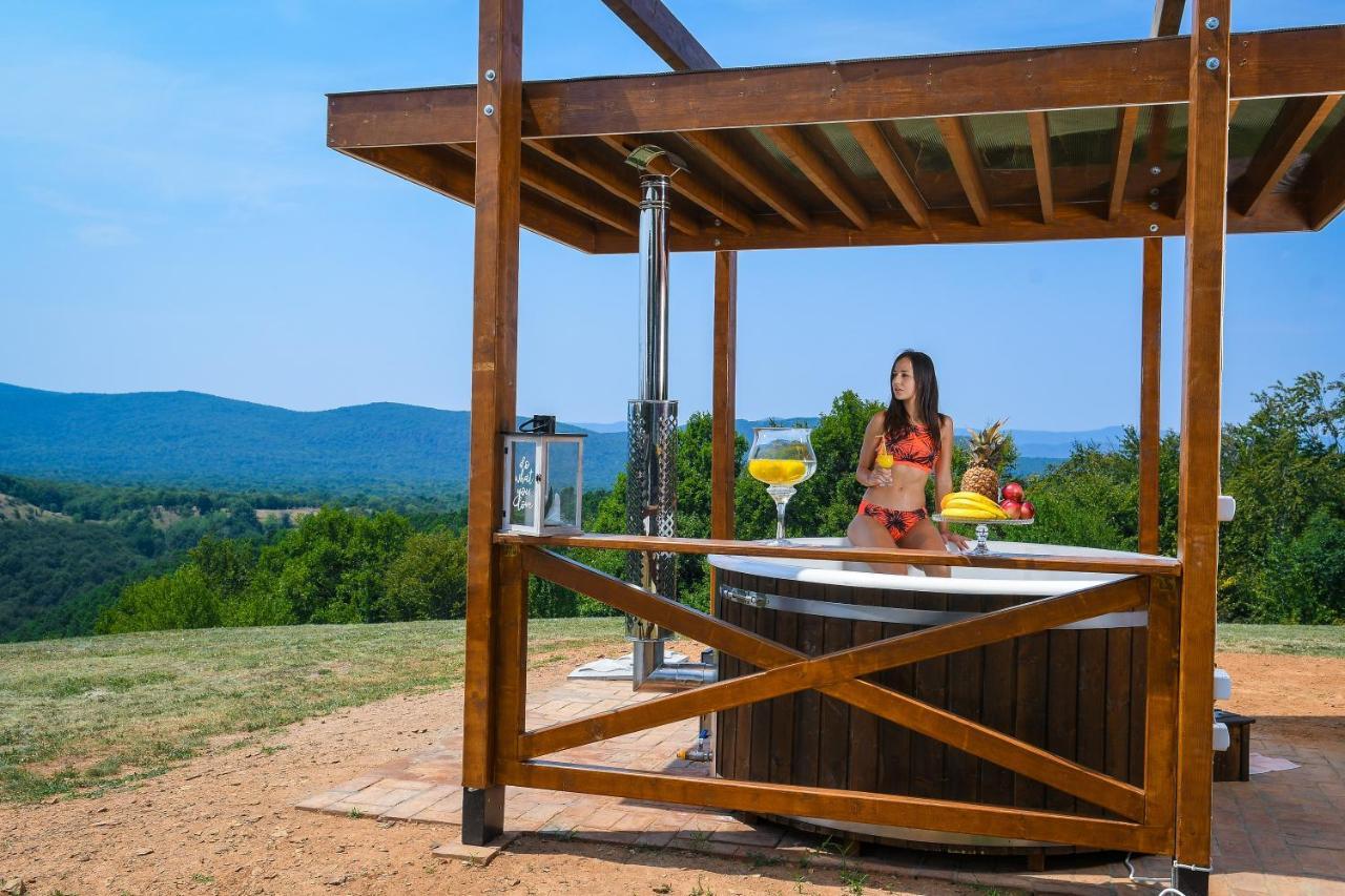 Brvnara Vila Promaja クラドヴォ エクステリア 写真