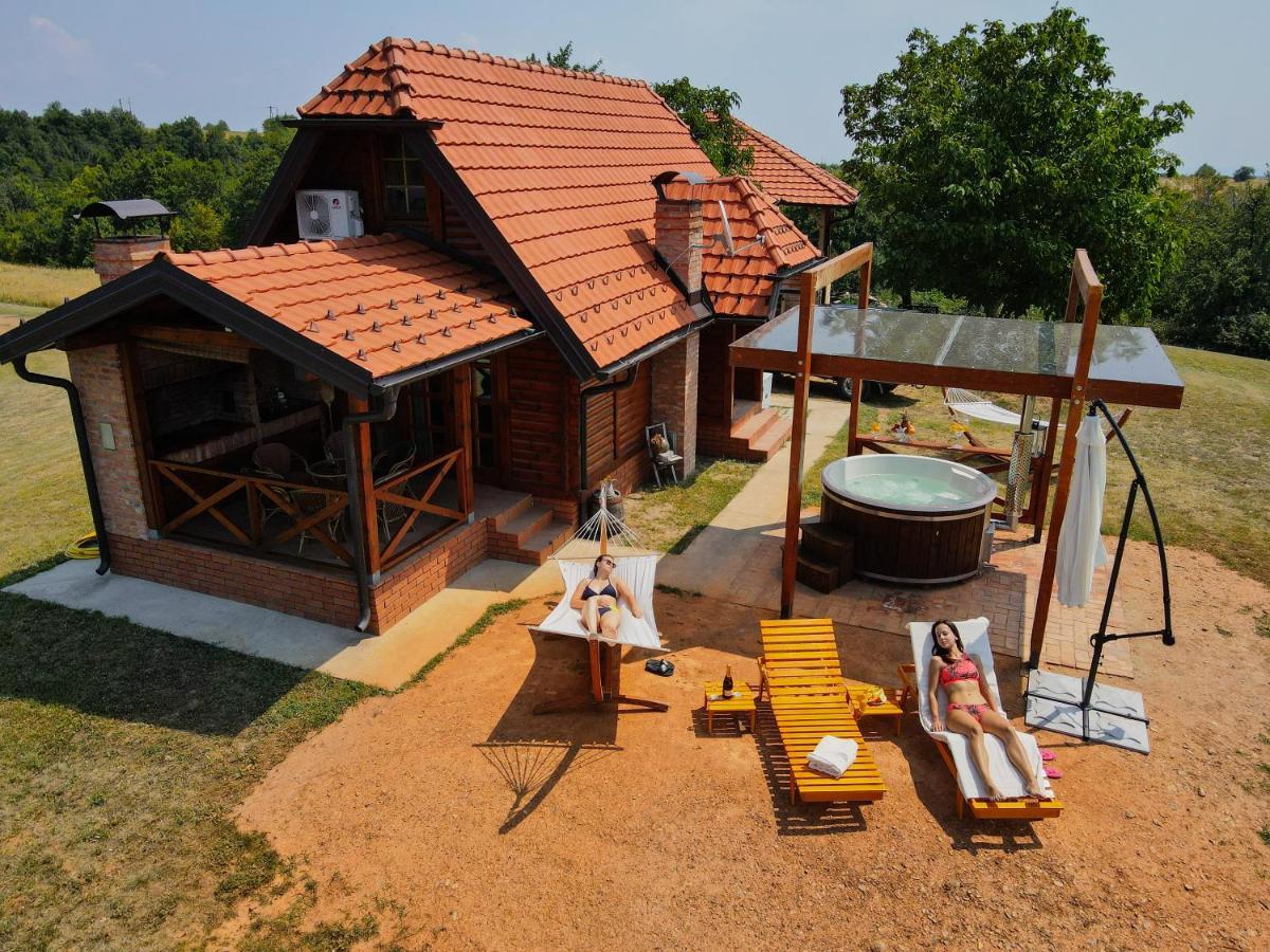 Brvnara Vila Promaja クラドヴォ エクステリア 写真