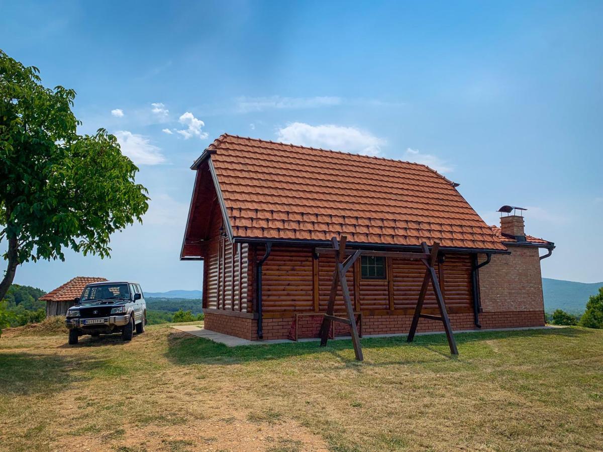 Brvnara Vila Promaja クラドヴォ エクステリア 写真